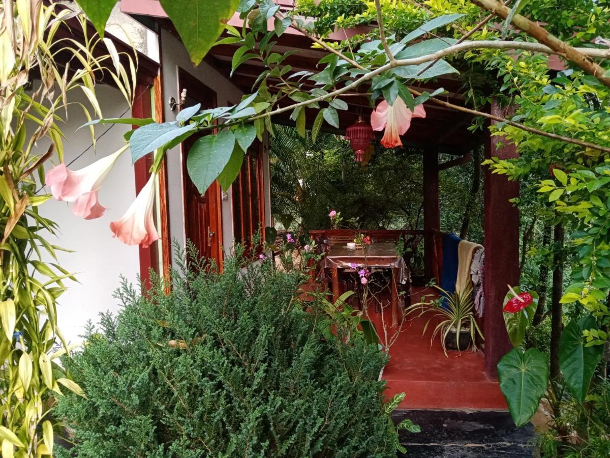 Littleadems View Bed & Breakfast Ела Екстериор снимка