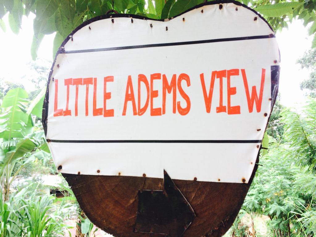 Littleadems View Bed & Breakfast Ела Екстериор снимка
